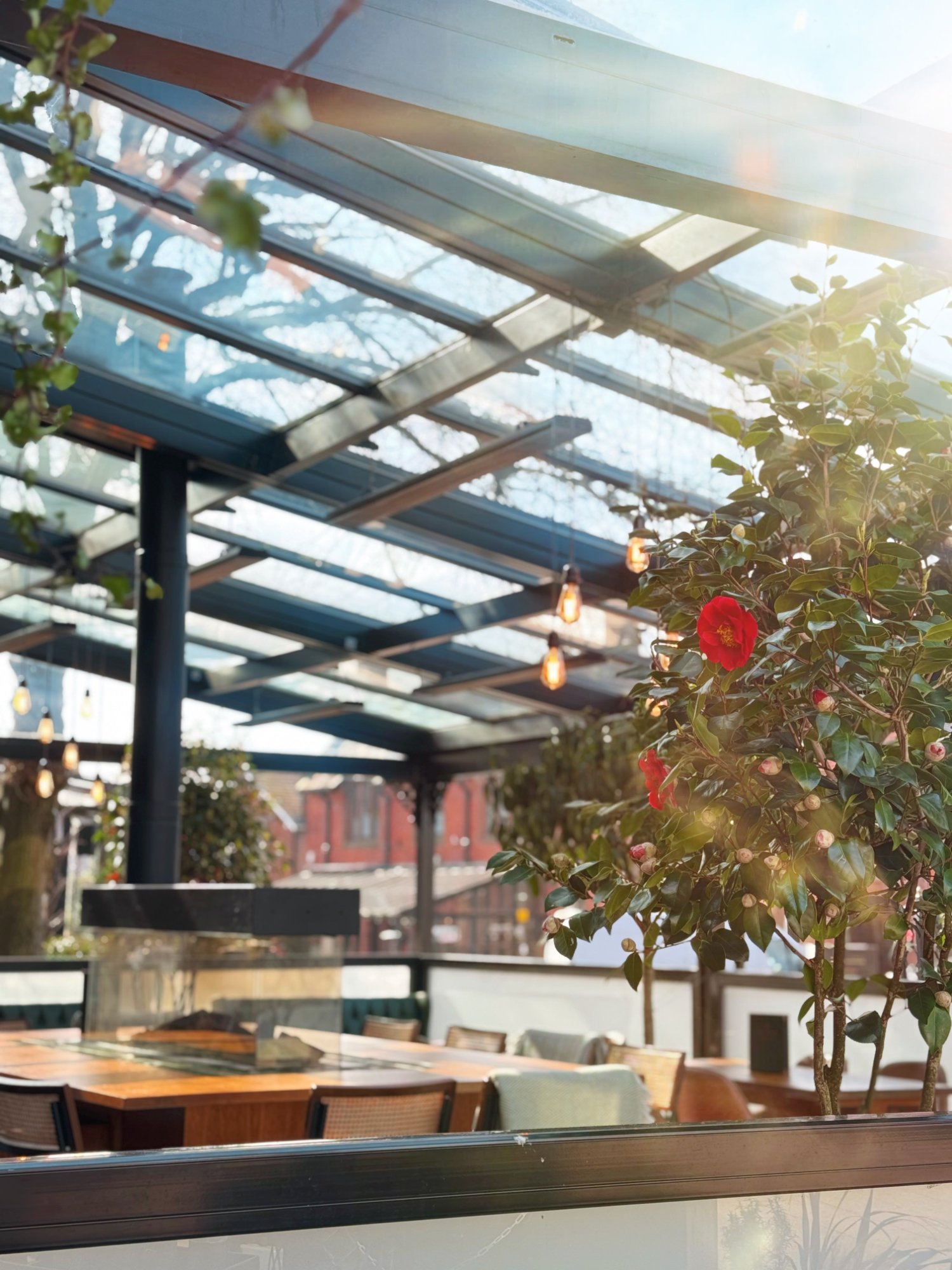 Glass terrace